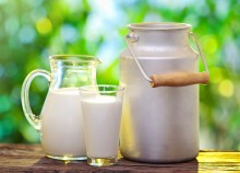 Plataforma oferece dados sobre produção de leite orgânico a usuários e consumidores