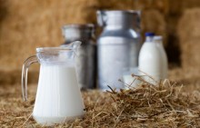 Lançada linha de crédito para cooperativas no setor leiteiro nacional