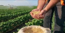 Aprosoja-MT envia sugestões de ajuda para produtores superarem crise