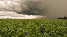Chuvas favorecem armazenamento hídrico e cultivos