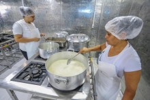 Paraná recebe doação de 150 toneladas de alimentos da agricultura familiar
