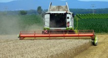 Com exportações em alta, Brasil comercializou 812 mil toneladas de trigo em janeiro