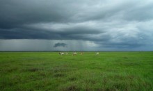 Chuvas colaboram para umidade do solo no Nordeste e Sudeste