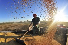 Produção brasileira de grãos terá redução de 6,3% em relação a 2023, segundo levantamento