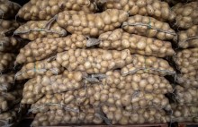 Preços da batata se sustentam em função das chuvas