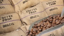 Diante de queda nas exportações, cotação do café tem forte oscilação