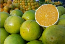 Laranja pera 'some' e tem preço elevado no mercado doméstico