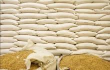 Com estoques abastecidos, mercado de trigo passa por período de baixa liquidez