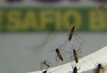 URGENTE: Rio decreta epidemia de dengue