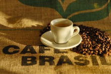 Agro do Brasil vai exportar café para a Zâmbia