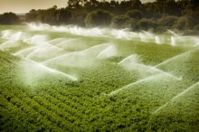 Senado aprova criação do Dia Nacional da Agricultura Irrigada