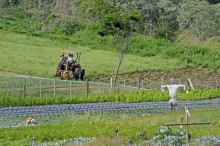 SP vai premiar cidades com os melhores resultados sustentáveis no campo