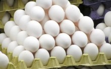 Negociações do ovo passam por momento de baixa demanda e oferta controlada