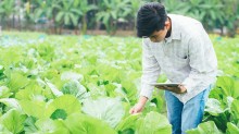 Projeto de modernização da Política Nacional da Agricultura Familiar avança no Congresso