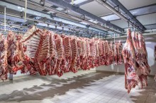 Oferta de carne bovina no mercado doméstico superou demanda em 2023