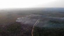 Brasil registra 248% mais queimadas em relação a janeiro de 2023