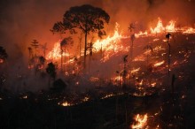 Amazônia tem recorde de queimadas para o mês de fevereiro