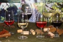 Embrapa abre inscrições para tradicional curso de vinhos