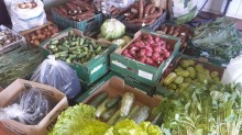 Agricultores familiares de SC iniciam entregas de alimentos pelo PAA