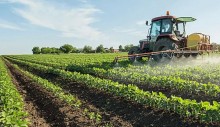 Desembolso do crédito rural chega 67% do total