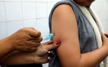 Mosquito: Minas tem 91 mortes confirmadas e RS decreta emergência