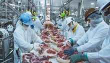 Exportadores de carne bovina diversificam destinos e elevam vendas