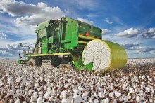 Em análise de mercado, Abrapa conta tudo sobre o algodão no Brasil e no mundo