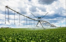 SP cria plano para dobrar áreas irrigadas em quatro anos