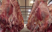 Cai ritmo de exportação de carne bovina