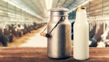 Preço do leite dIspara no mercado doméstico