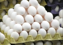 Equilíbrio entre demanda e oferta estabiliza preços dos ovos