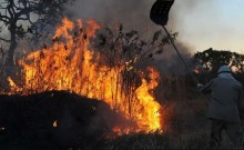 Ipam constata aumento de 433% de queimadas na Amazônia
