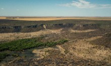 Avanço do desmatamento no Cerrado mobiliza governadores de sete estados
