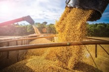 Produtores de soja e milho poderão prorrogar parcelas de investimento agrícola