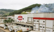 Com lucro no primeiro trimestre, Seara investe no aumento da capacidade industrial