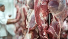 Em crescimento, produção de carnes vai garantir exportações e mercado doméstico