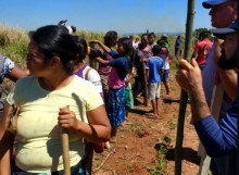 Frente do Agronegócio se pronuncia após decisão do Supremo por reintegração de posse no Paraná