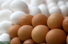 Oferta controlada sustenta preços dos ovos