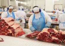 Com alta produção, disponibilidade de carnes deve subir em 2024
