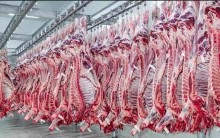 Exportações de carne suína têm forte queda