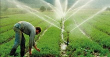 Brasil produz mais de 4 milhões de toneladas de alimentos em projetos com irrigação