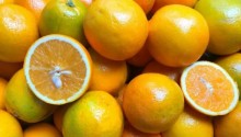 Preços da laranja pera in natura avançam abril em queda