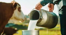 RS publica decreto para fortalecimento do setor leiteiro no estado