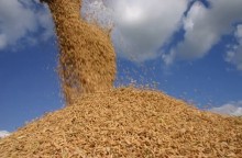 Brasil exportou mais de 85 mil toneladas de arroz em março