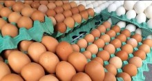 Preço do ovo começa a cair