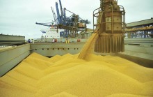 Valorização externa impulsiona preço da soja no Brasil