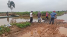 Chuvas preocupam produtores de arroz no RS