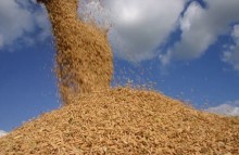 Brasil vai importar arroz