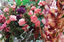 Produção de rosas dobrou no Paraná na última década