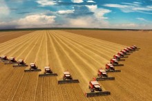 Ajustes na área de milho e soja resultam em uma produção de 295,45 milhões de toneladas na safra 2023/2024
